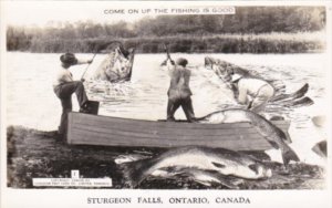 Canada Ontario Sturgeon Falls Men Catching Large Fish Exageration Real Photo