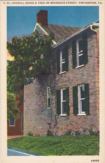 Unusual House and Tree On Braddock Street Winchester Virginia