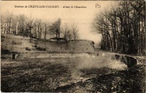 CPA Env. CHATILLON-COLIGNY Arenes de Chenevieres (607476)