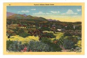 AZ - Arizona, Typical Ranch Scene