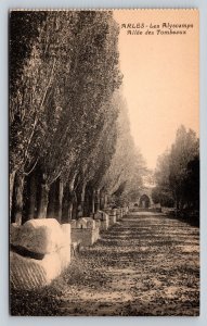 Arles The Alyscamps Avenue of Tombs in France VINTAGE Postcard 0517