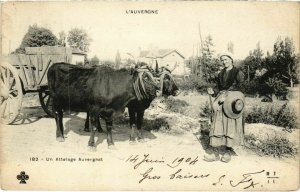 CPA Auvergne - Un Attelage (72851)