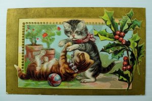 C.1910 Christmas, Xmas, Cats Postcard P76