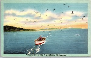 Greetings from Valentine Nebraska NB Boating on Lakae with Seagulls Postcard