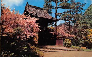 Oriental Tea Garden San Francisco California  