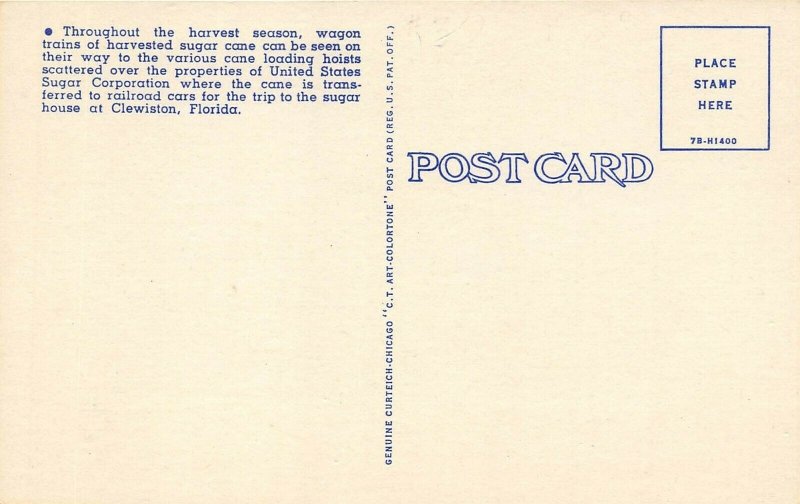 FLORIDA Everglades 1940s Postcard Tractor Wagon Loaded With Sugar Cane