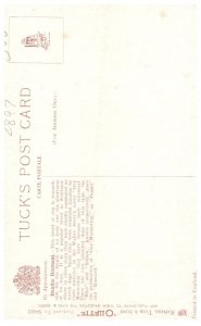 Dog ,  artist signed