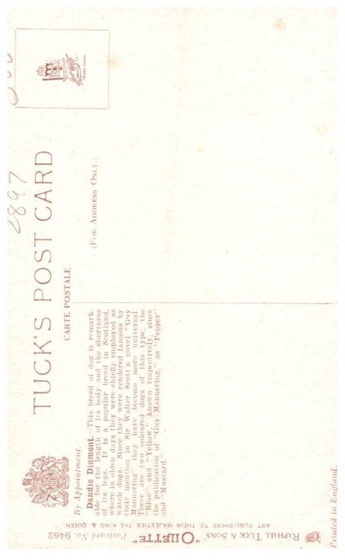 Dog ,  artist signed