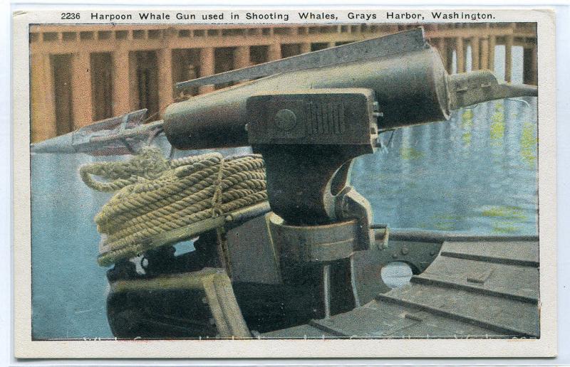 Harpoon Whale Gun Grays Harbor Washington 1920c postcard