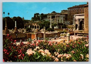 c1982 Roman Forum ROME Italy 4x6 Vintage Postcard 0205