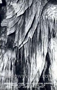 Elephant Ears, Crystal Grotto in Branson, Missouri