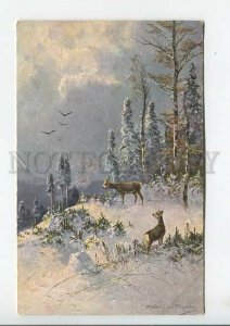 444024 MULLER Mueller HUNT Winter DEER ub Snow Vintage postcard