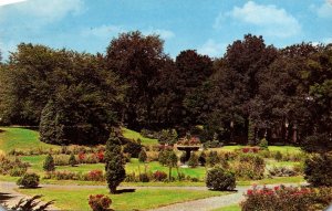 New York Syracuse Scene In Burnet Park 1951