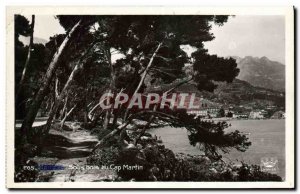 Old Postcard Menton Undergrowth Cap Martin