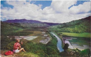 Hanalei Valley Rice Paddies Kauai Hawaii