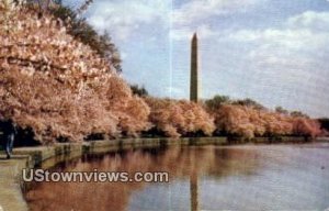 Washington Monument, District Of Columbia