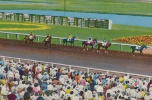 Centennial Park Horse Racing Littleton CO Thoroughbred Track Park postcard H174 