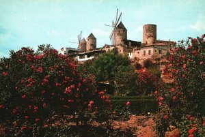 Vintage Postcard Palma De Mallorca Molinos Dei Jonquet Mills Palma Spain ES