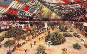 Flower Show Interior Coliseum Chicago Illinois 1910c postcard