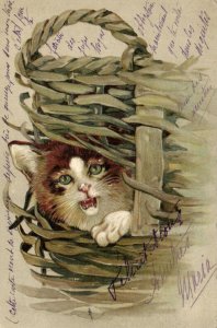 PC CATS, CAT IN A BASKET, Vintage EMBOSSED Postcard (b47079)