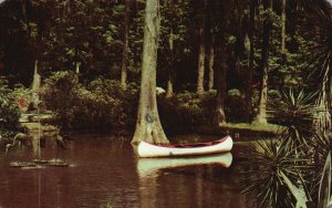 Vintage Postcard Oriental Garden Sub-Tropical Plantings Jacksonville Florida FL