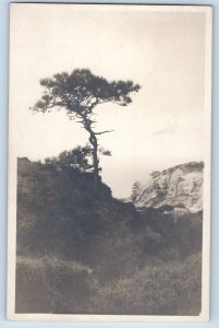 La Jolla California CA Postcard RPPC Photo Leopold Hugo Photographic Art Rooms