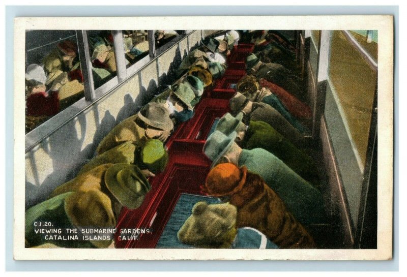 1920's Vintage Viewing the Submarine Gardens Catalina islands, CA Postcard P182 