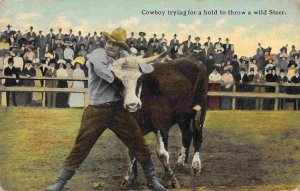 Cowboy Trying To Throw Steer Rodeo Montana 1911 postcard