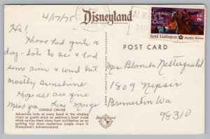 Vintage 1975 Disneyland Jungle Cruise Hippos of the Congo Adventureland Postcard