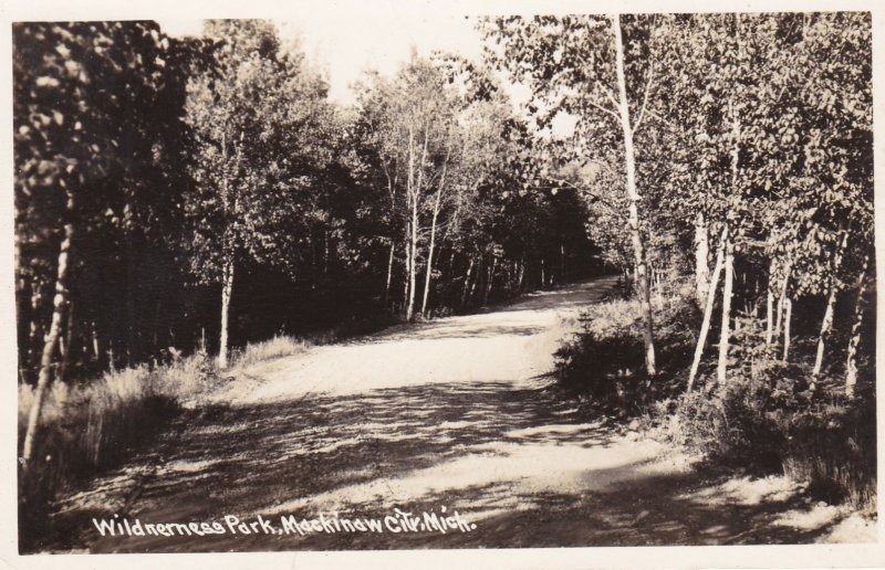 Michigan Mackinaw City Wilderness Park Road Scene Real Photo