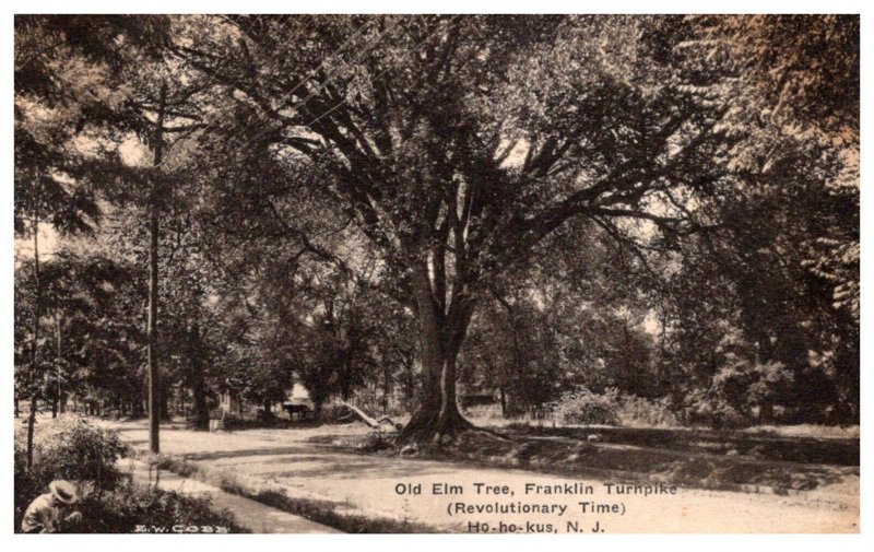 New Jersey Ho-ho-kus Old Elm Tree  Franklin Turnpike