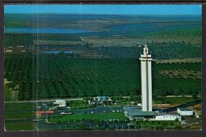 Bird's Eye View Citrus Tower,Clermont,FL BIN