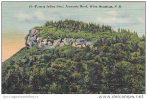 Famous Indian Head Franconia Notech White Mountains New Hampshire Curteich