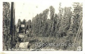 Real Photo - Hop Picking Machine - Eastern Washingtons, Washington