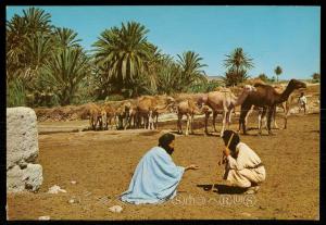 Hommes blues et leurs, chameauz a l'oasis