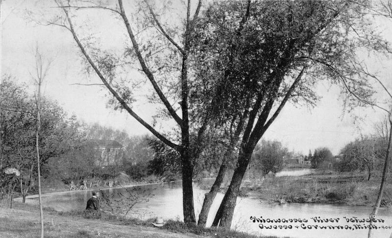 Owosso-Corunna Michigan~Shiawassee River Scene~Man on Shore~Hat Next to Him~1911