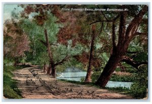 1908 Burnsides Bridge Antietam Battlefield MD Keedysville MD Fair Play Postcard