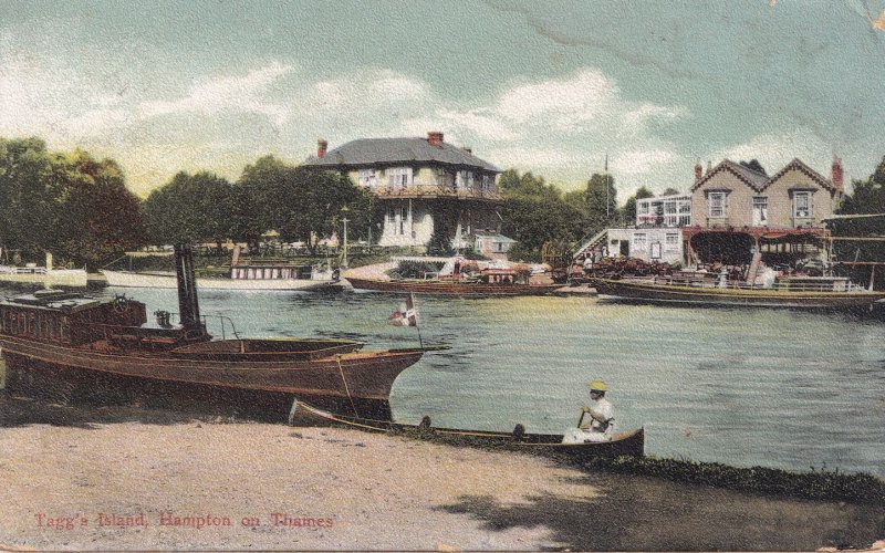 Taggs Island Hampton On Thames 1908 Antique River London Postcard