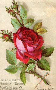 Victorian Trade Card Mills & Race Boots & Shoes, Red Rose Image D1 