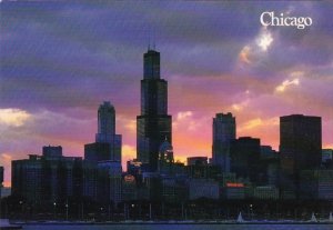 Illinois Chicago Summer Silhouette Skyline At the Lakefront