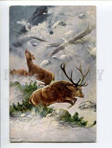 285393 Winter HUNT Deer in Snow by MULLER Mueller Vintage postcard