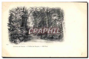 Old Postcard Chateau de Vizille Allee of Sighs