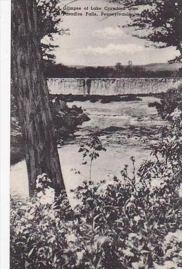 Pennsylvania Paradise Falls A Glimpse Of Lake Crawford Dam Albertype