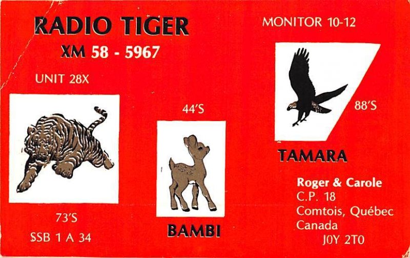 Radio Tiger, Non Postcard Backing Quebec Unused 