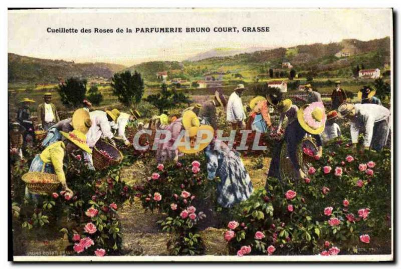 Old Postcard picking roses Parfumerie Bruno Court Grasse