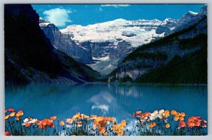 Poppies In Bloom, Lake Louise, Banff National Park Alberta, Vintage Postcard