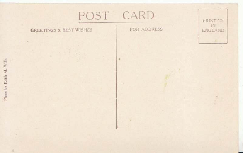 Devon Postcard - Torre Abbey - South Side of Tithe Barn [Built in 1196] - 1476A 