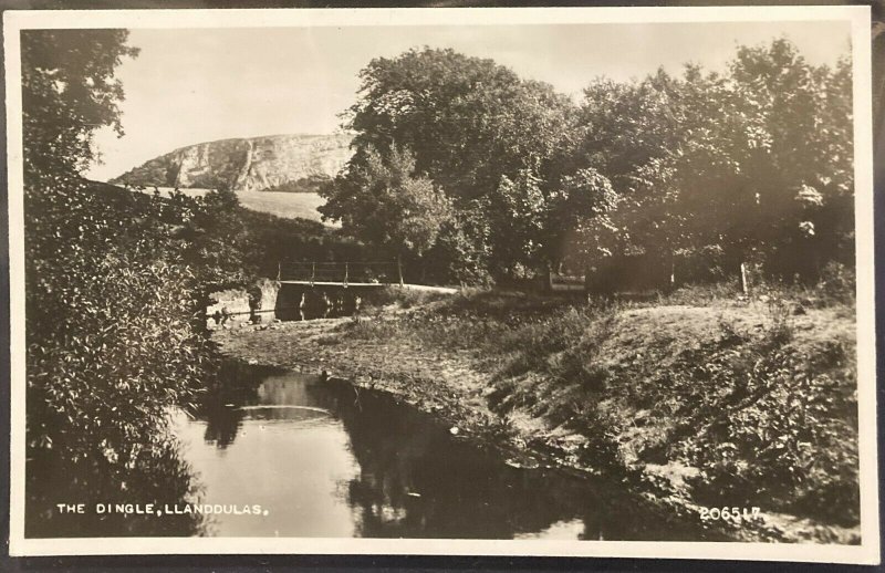 Wales The Dingle Llanddulas RPPC - unposted