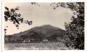 Napa City California Mt St Helena Real Photo Vintage Postcard AA67058