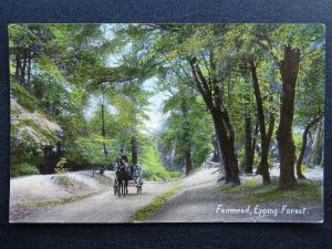 London EPPING FOREST Fairmead showing Horse & Carriage c1908 Postcard by W&K